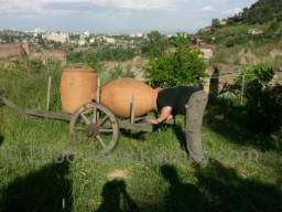 PICT6648 je nekdo doma.jpg